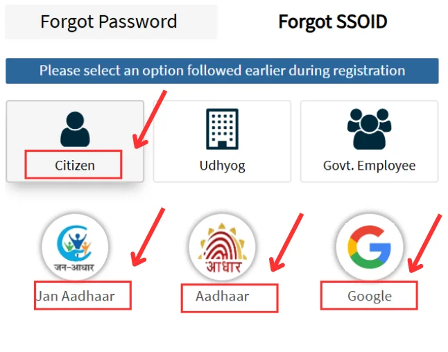 SSO ID Forgot Password 2026: Easy Rajasthan Reset Guide 4 Select Preferred options in SSO ID